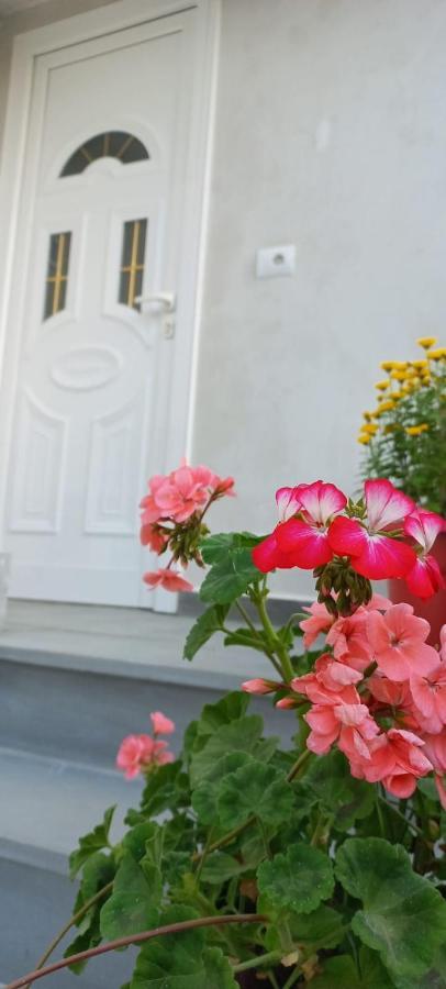 Apartament Teuta Përmet 외부 사진